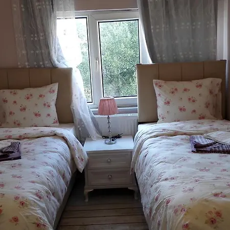 Isly Albergue *
